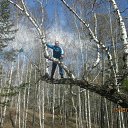 ���� �������, ����������, 50 ��� - ��������� 13 ��� 2016 � ������ ������������� ������ 13.05.2016�