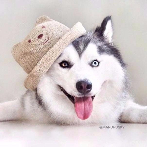     !) - 2