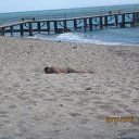 ���� �����, ��������� - ��������� 17 ����� 2016 � ������ ���� ����������