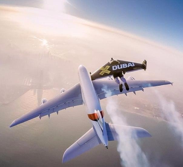 Jetmax Dubai.    -. - 5
