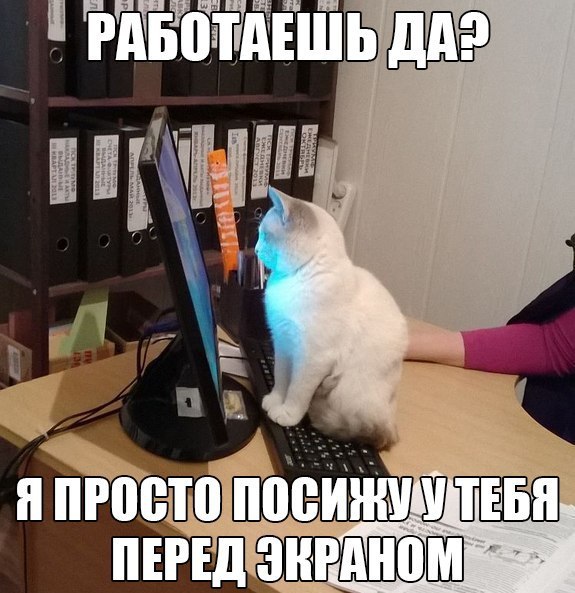    - 9  2016  18:19