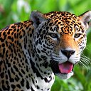 ���� �, ������ - ��������� 19 ���� 2016 � ������ ���� ����������