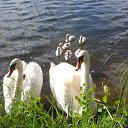 ���� Andrejs, ����, 64 ���� - ��������� 24 ���� 2016 � ������ ���� ����������