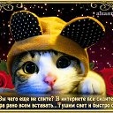 ���� ������, �������� - ��������� 6 ���� 2016 � ������ ������ ��������