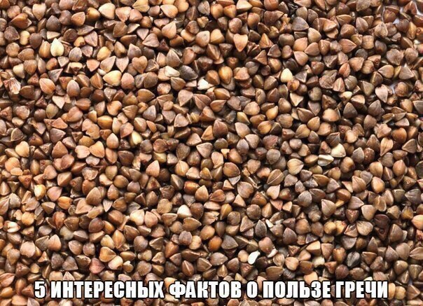 5 ИНТЕРЕСНЫХ ФАКТОВ О ПОЛЬЗЕ ГРЕЧИ.Забирай на стену!1. По содержанию незаменимых аминокислот белок ...
