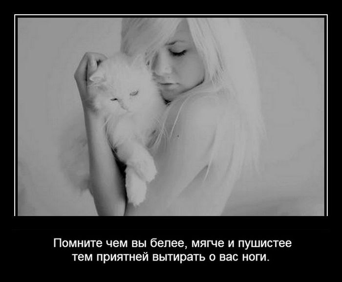  Ѩ  - 27  2016  16:37