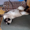 � ��� �������� ���.... �� ������� ���� ����������