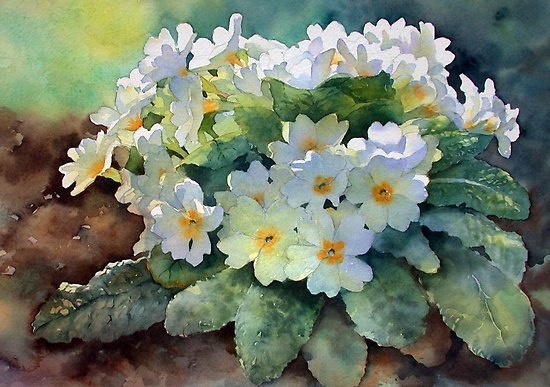  Ann Mortimer