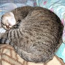 ���� ������, ��������, 52 ���� - ��������� 6 ������� 2016