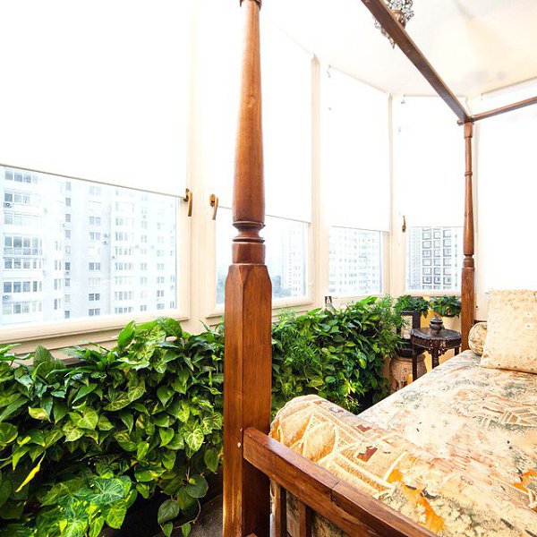 Необычайную легкость и свежесть могут внести комнатные растения в интерьере квартиры. Это не только ... - 4