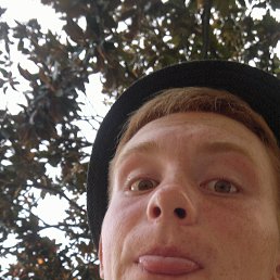 ������, �������, 33 ����