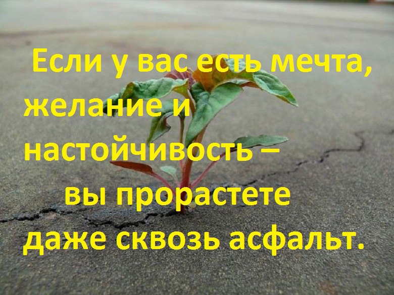   - 22  2016  17:12