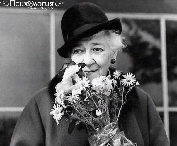   ,  -   ,   ,     .  , ...