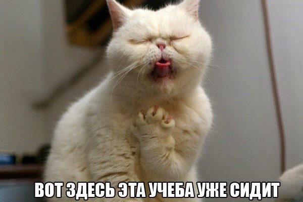     - 24  2016  20:43