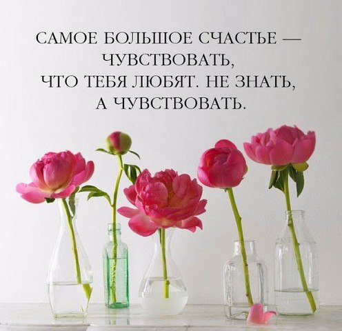  - ,  - 29  2016  16:37