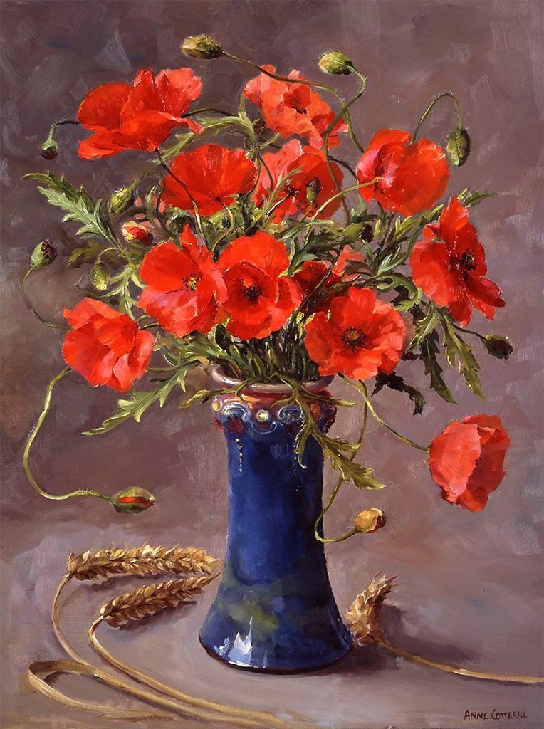 Anne Coterill