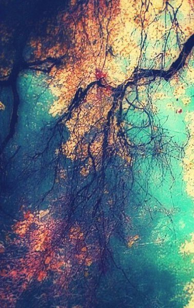 Art & Fun - 4  2016  11:03 - 6