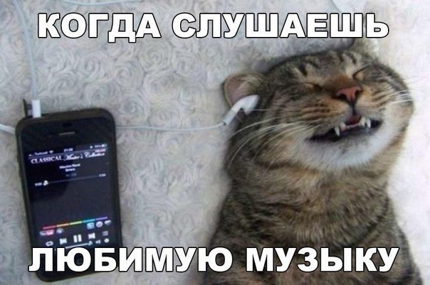    :D - 24  2016  08:31