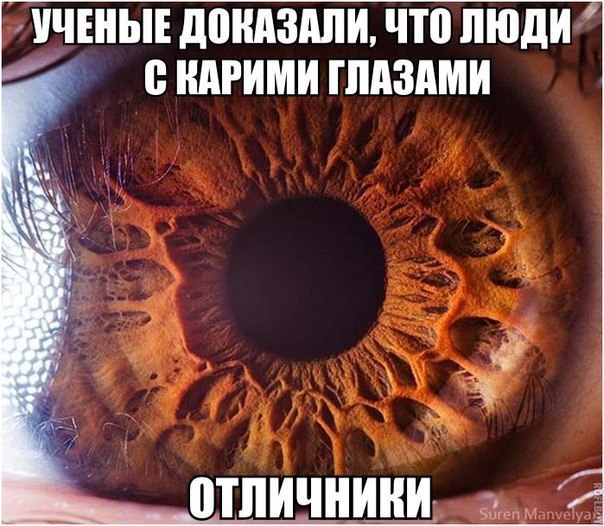   - 13  2016  15:15