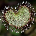 ���� Eric, ����, 61 ��� - ��������� 21 ��� 2016 � ������ �Flora and fauna�