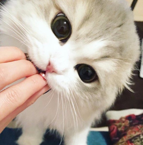   :3
