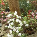 ���� ������, ������ - ��������� 11 ������ 2016 � ������ ������������� ���