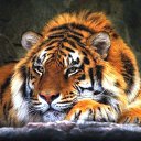 ���� ���������, ������, 67 ��� - ��������� 6 ������� 2016 � ������ ���� ����������