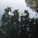 ���� �������, ������� - ��������� 29 ���� 2016 � ������ ��������. ����� ����.�