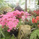 ���� ������, ������, 66 ��� - ��������� 12 ������ 2016 � ������ ������������� ���