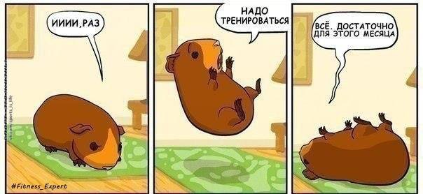  -   - 9  2016  15:10