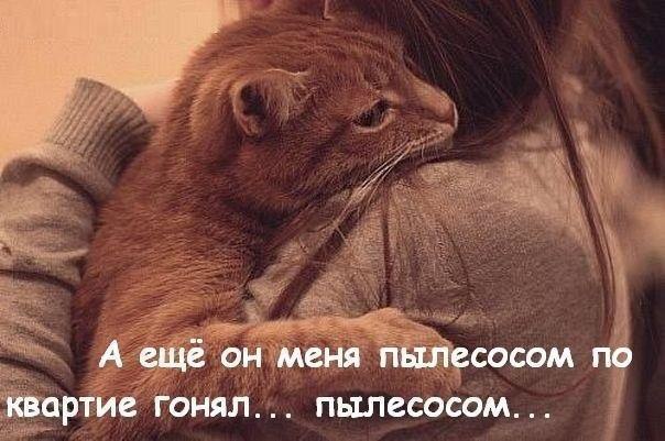    :D - 13  2016  15:35