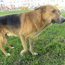 ���� ��������� ��� -���� ������ ��������� � ���������!!! ���!!!! �� ������� ������ ��������