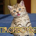 ���� ������, �����-���������, 54 ���� - ��������� 3 ������ 2016 � ������ �������� ��������