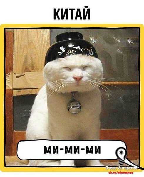 *. Кошки как правило говорят *мяу*... или *мя*.... Вообще то немцы особенно удивили... - 7
