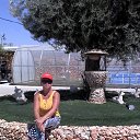 ���� Alina, ������, 56 ��� - ��������� 31 ������� 2016 � ������ �����