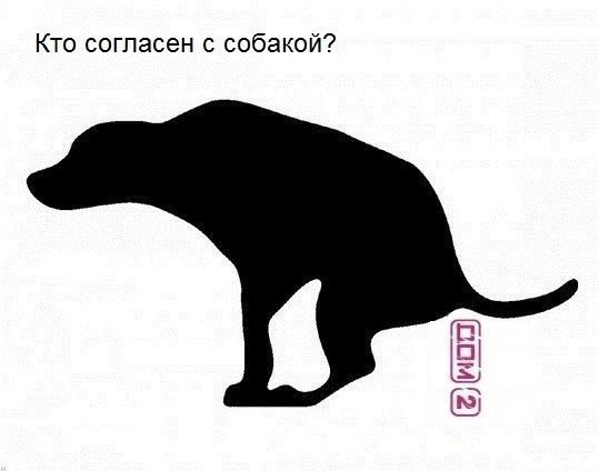    :D - 7  2016  02:34