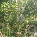 ���� ������, �����, 52 ���� - ��������� 31 ������� 2016 � ������ ���� ����������