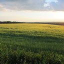 ���� �������, ������ - ��������� 5 ��� 2016 � ������ ������� ���� 2015�