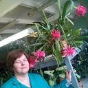 ���� �������, �����, 68 ��� - ��������� 20 ���� 2016 � ������ ���� ����������