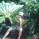 ���� ����, ����, 43 ���� - ��������� 2 ������ 2016 � ������ ���� ����������