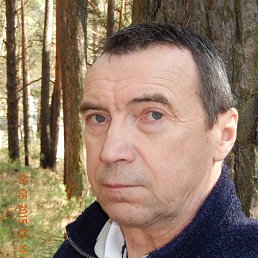 ���� ����, ����������, 71 ��� - ��������� 11 ���� 2016