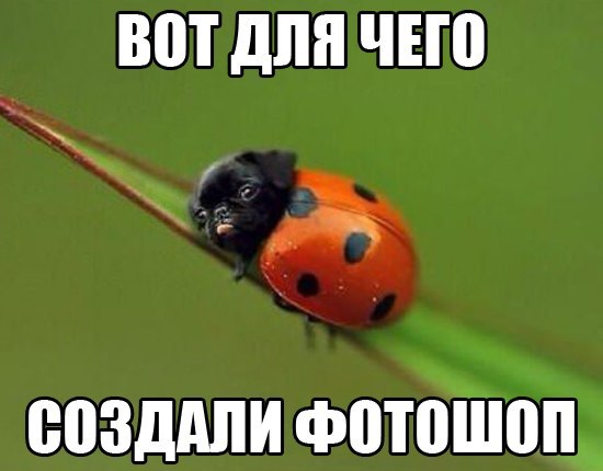 ... - 29  2016  21:13