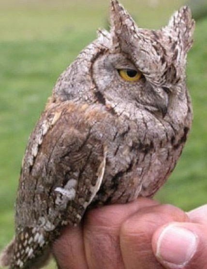   - 27  2016  07:04 - 2