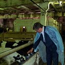 ���� ������, �����������, 53 ���� - ��������� 1 ������� 2016 � ������ ���� ����������