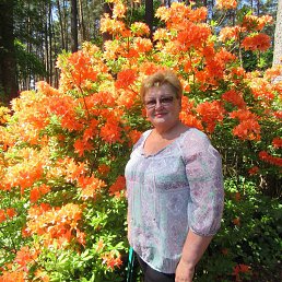 ���� Alla, ������ - ��������� 28 ��� 2016