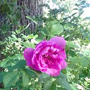 ���� ������, ������ - ��������� 19 ���� 2016 � ������ ���� ����������