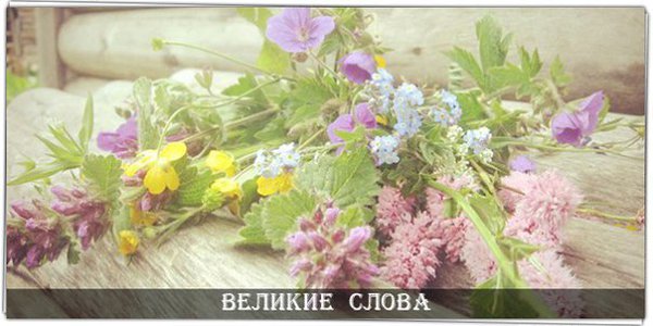 Однажды один богатый человек дал бедняку корзину, полную мусора. Бедняк ему улыбнулся и ушёл с ...