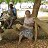 ���� Omlutu, ������ - ��������� 20 ����� 2016