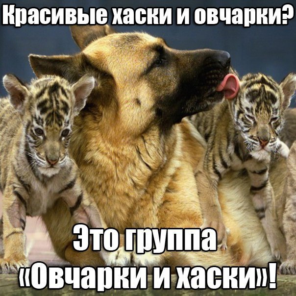 ������ - 15 ���� 2016 � 02:46