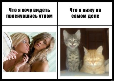  Ѹ - 6  2016  15:27
